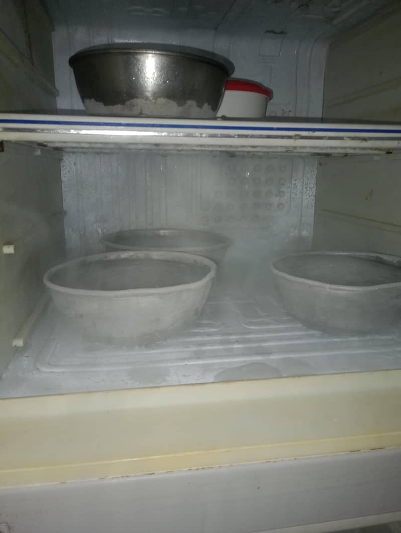 fridge 1