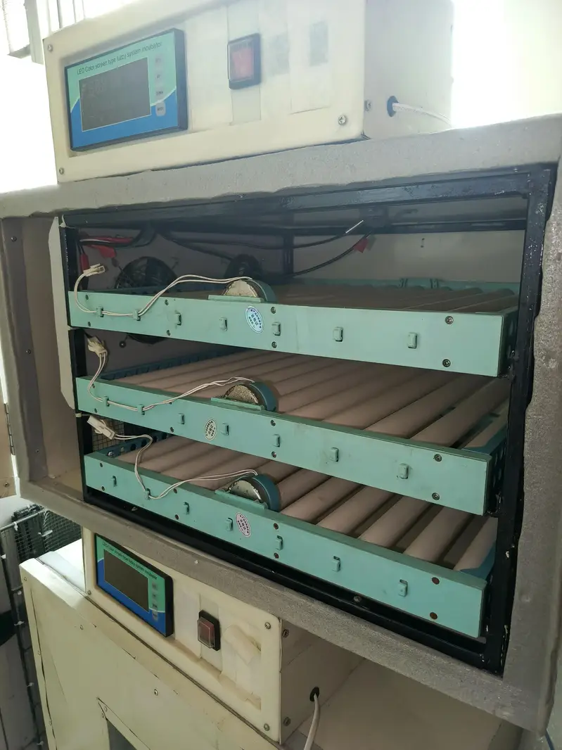 240 egg Fully Automatic Steel Body incubator — photo 2