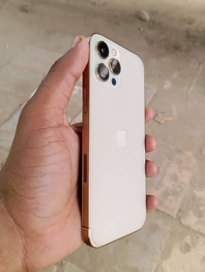Apple iPhone 12 Pro Max