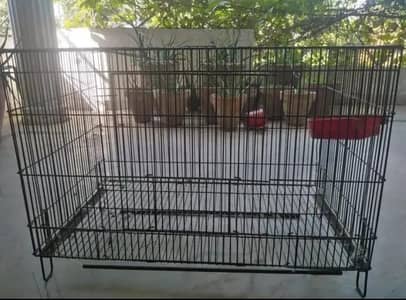 Iron foldable cage