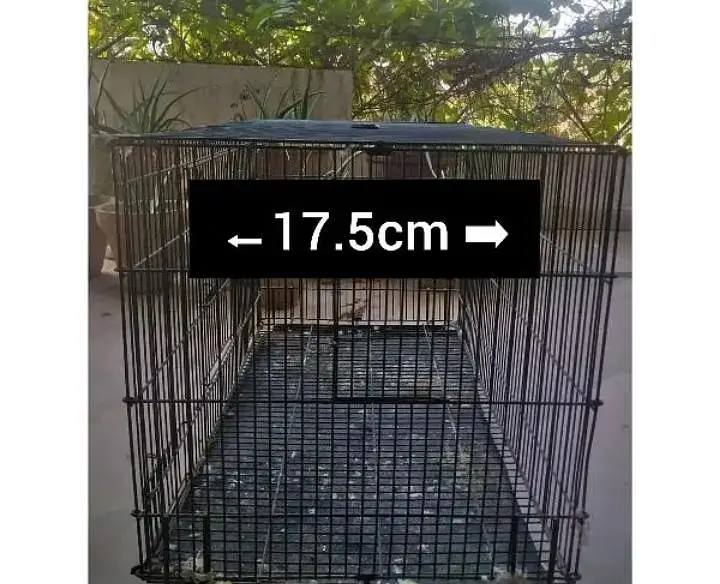 Iron foldable cage — photo 4