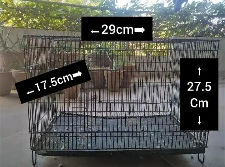 Iron foldable cage — photo 5