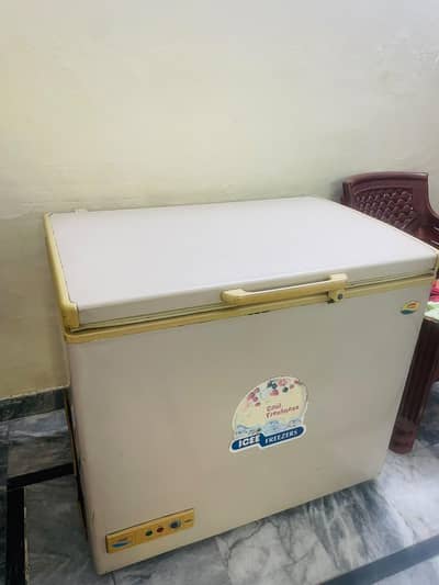 Deep Freezer (03236993684)