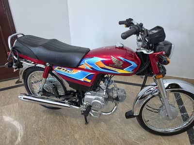 HONDA CD 70 2025/26 | Red