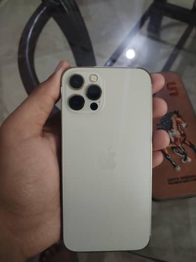 Apple iPhone 12 Pro