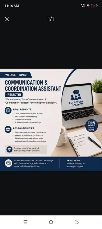 Communication & Coordination Assistant