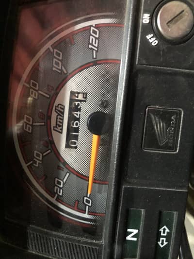 03141455186