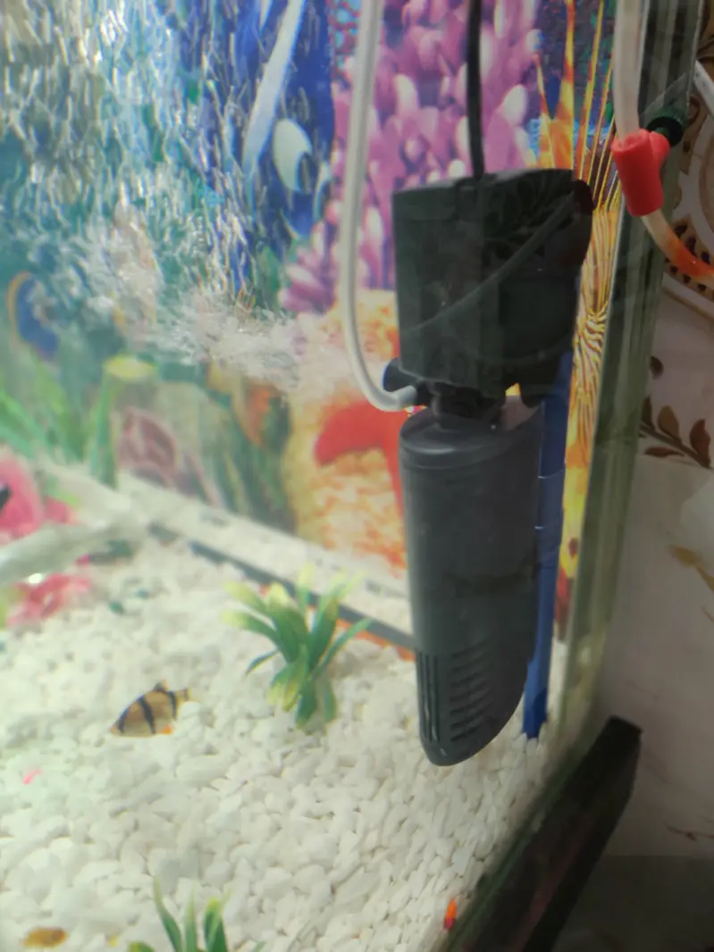 Complete Aquarium Setup with Fish – Tank, Filter, Lights & Accessories — photo 2