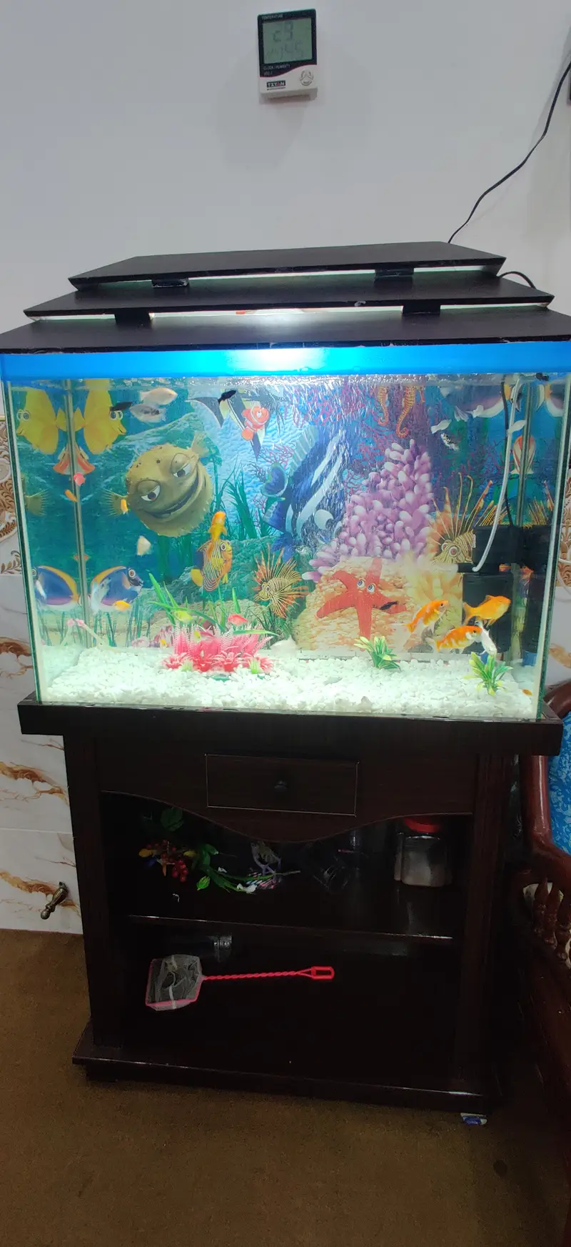 Complete Aquarium Setup with Fish – Tank, Filter, Lights & Accessories — photo 6