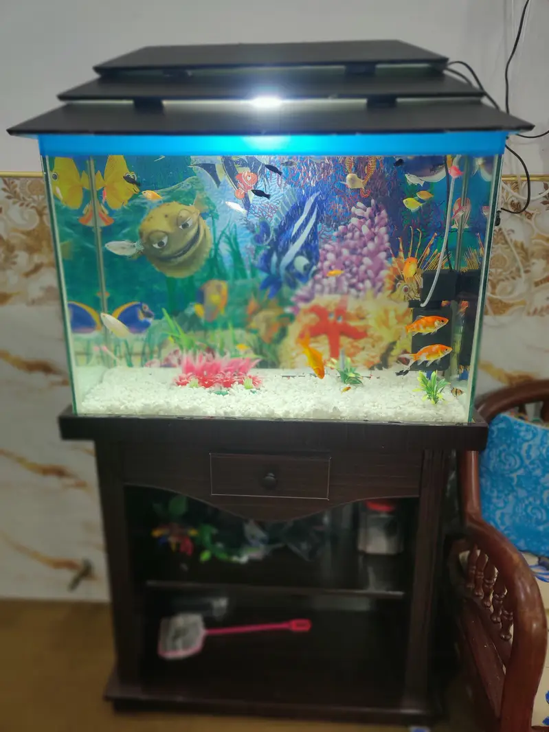 Complete Aquarium Setup with Fish – Tank, Filter, Lights & Accessories — photo 8