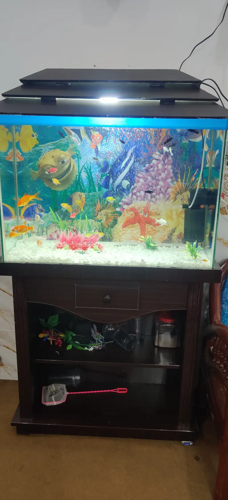 Complete Aquarium Setup with Fish – Tank, Filter, Lights & Accessories — photo 9