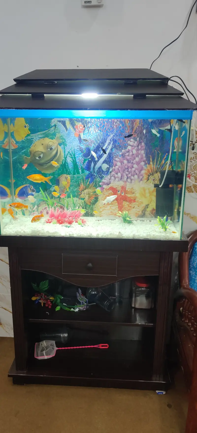 Complete Aquarium Setup with Fish – Tank, Filter, Lights & Accessories — photo 10