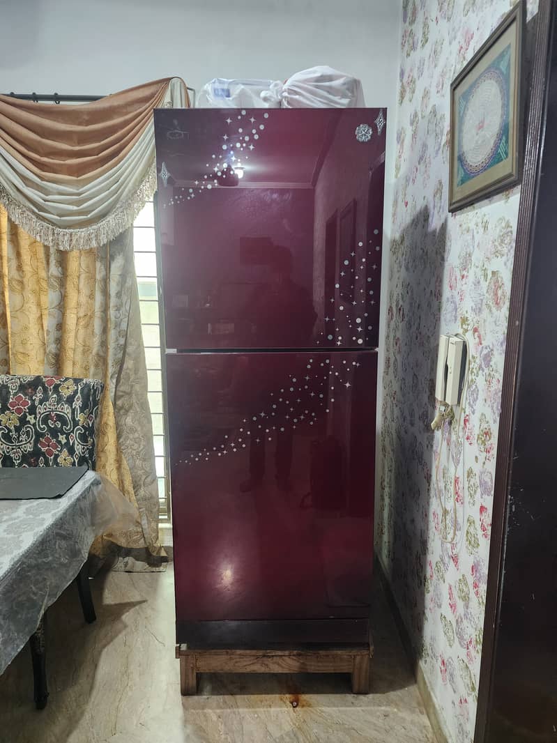 PEL fridge 1