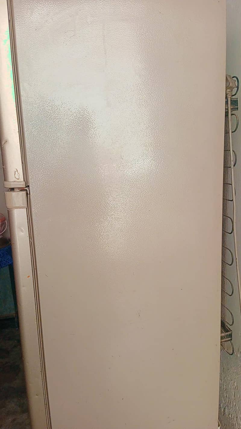 fridge 1