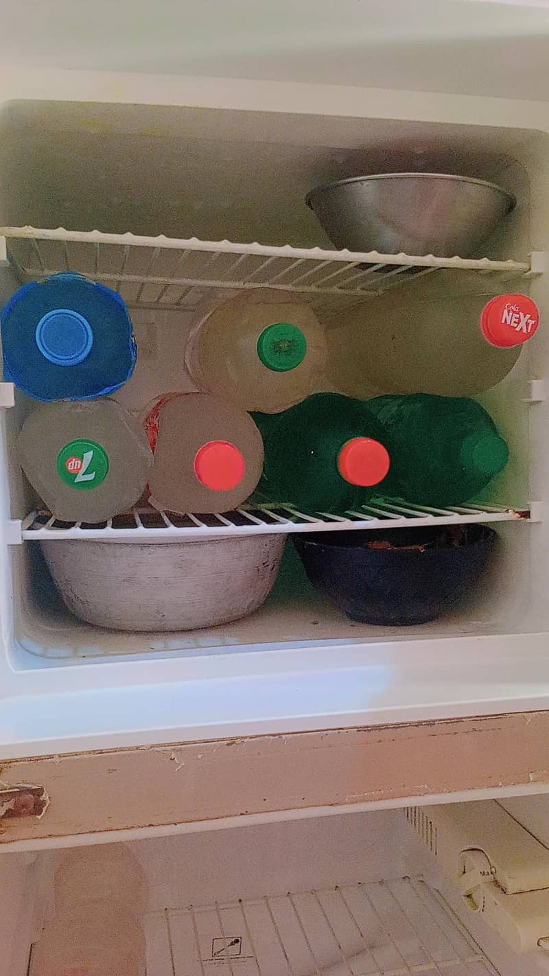 fridge 5