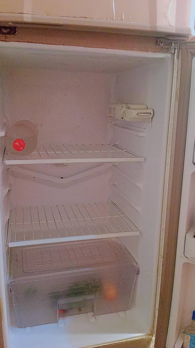 fridge 6
