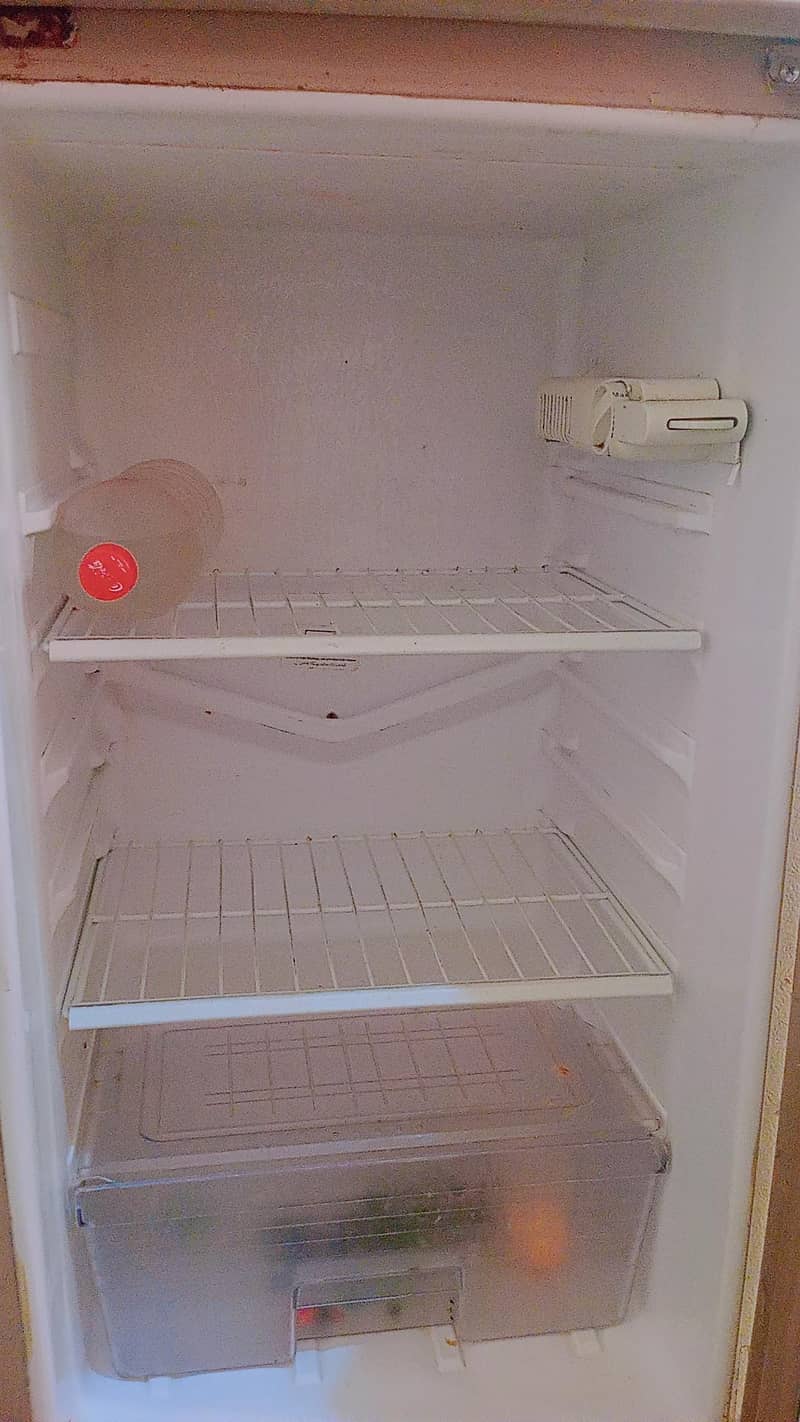 fridge 7