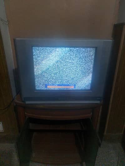 tv new