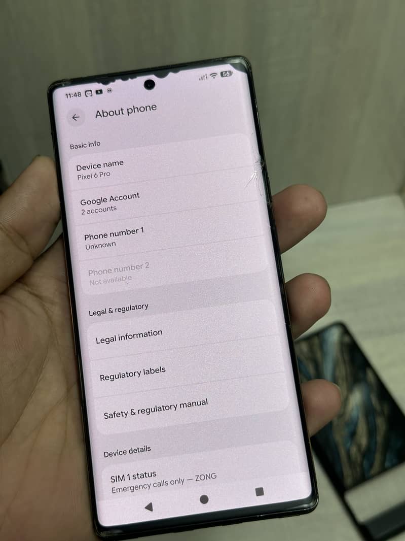 Google Pixel 6 Pro 1
