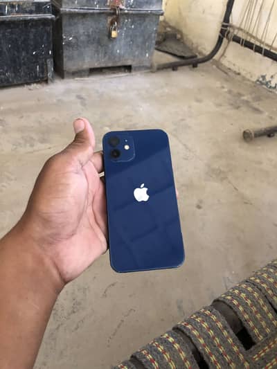 iPhone 12