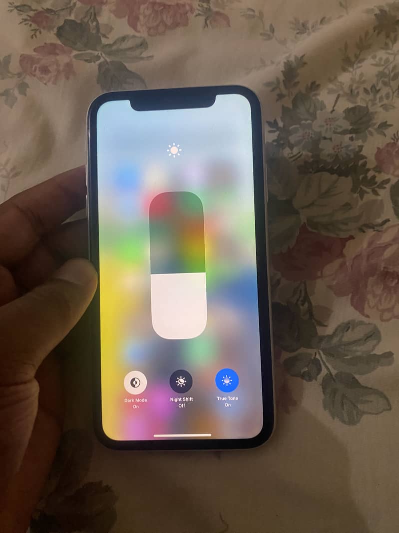Apple iPhone 11 1