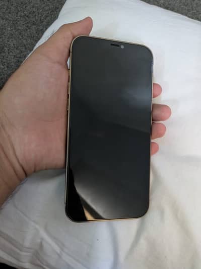 Apple iPhone 12 Pro Max