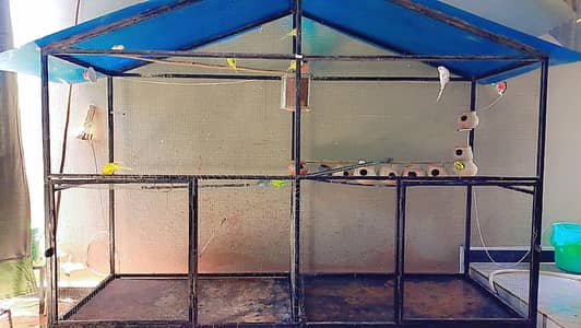 iron Cage Urgent For Sale