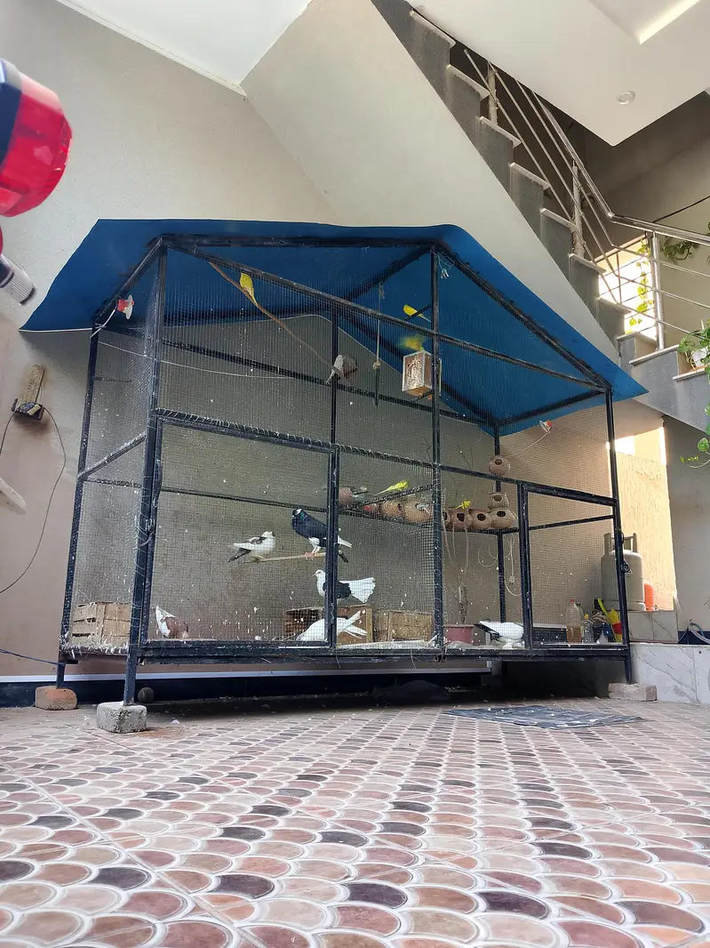 iron Cage Urgent For Sale — photo 2