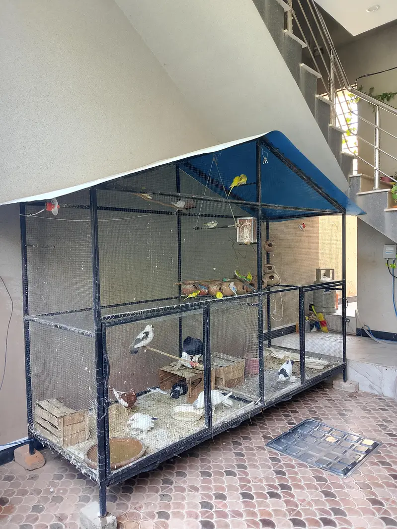 iron Cage Urgent For Sale — photo 3