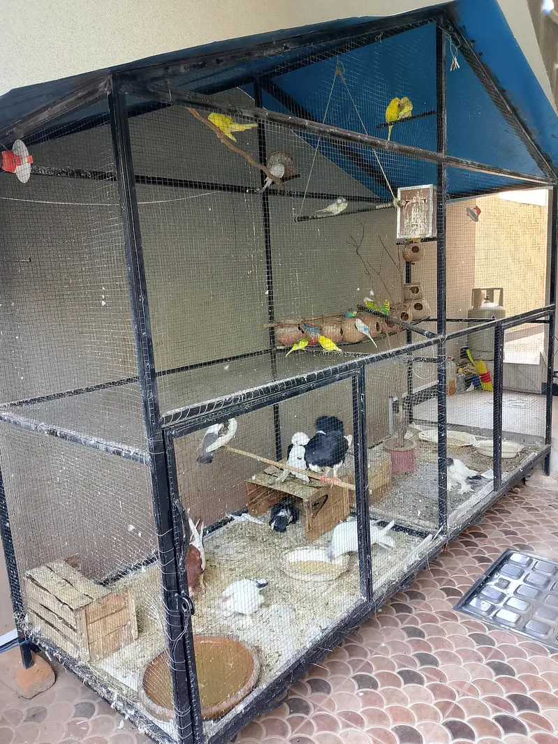 iron Cage Urgent For Sale — photo 6