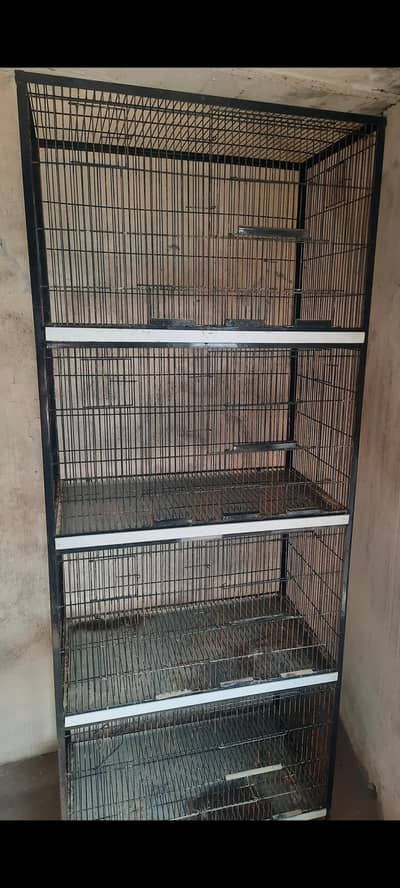 iron cage