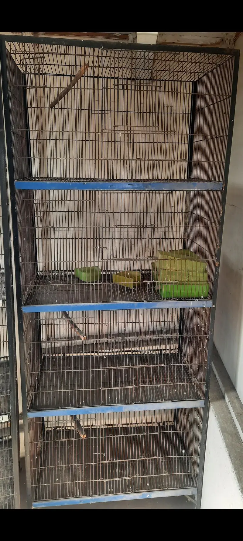 iron cage — photo 2