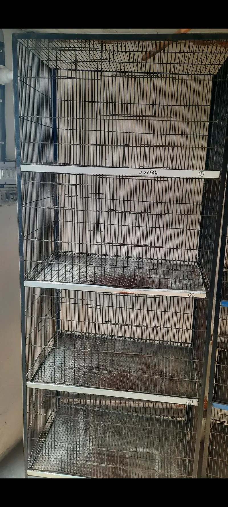 iron cage — photo 3