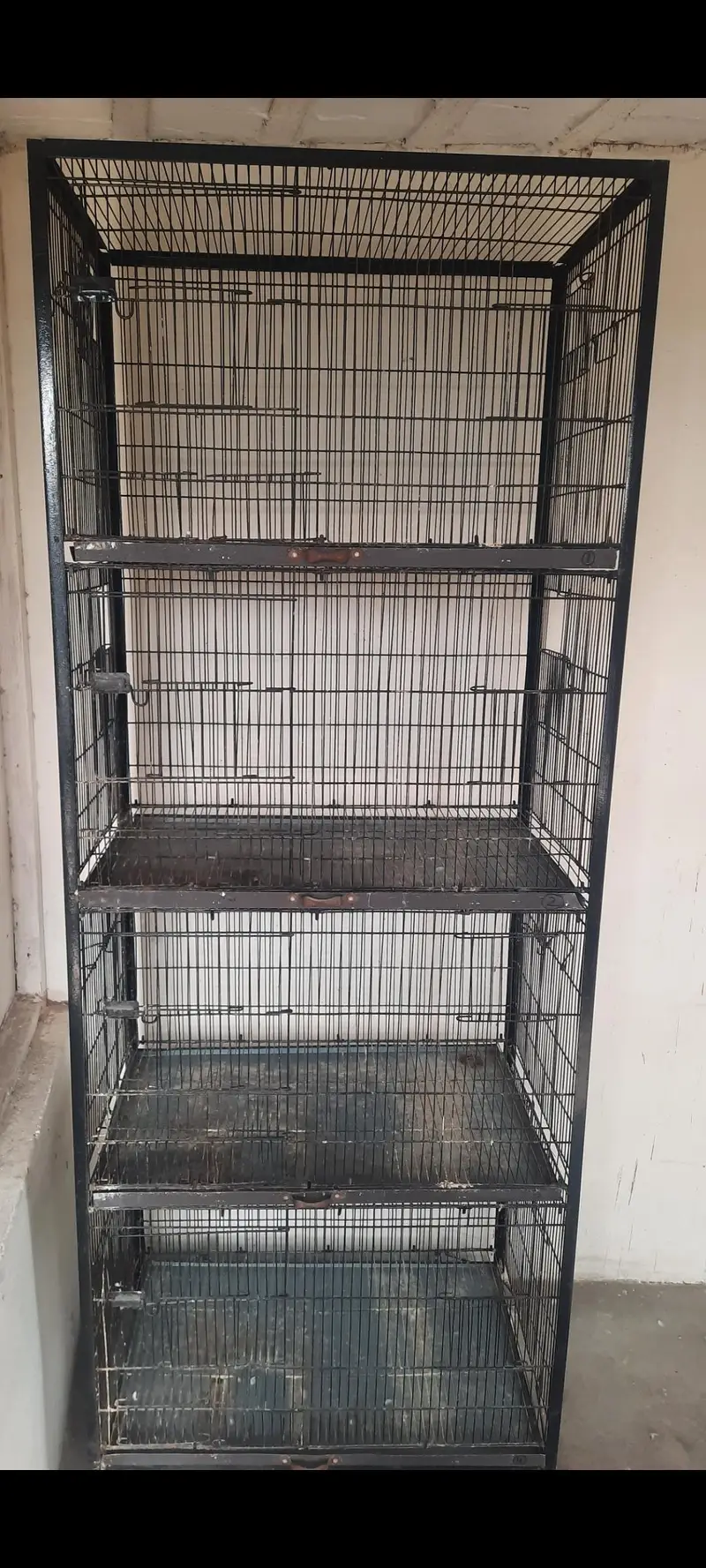 iron cage — photo 4