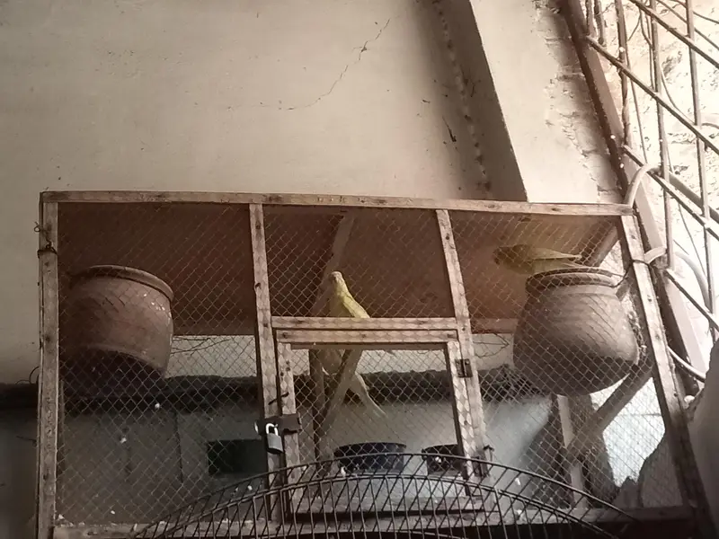 1 pair — photo 3