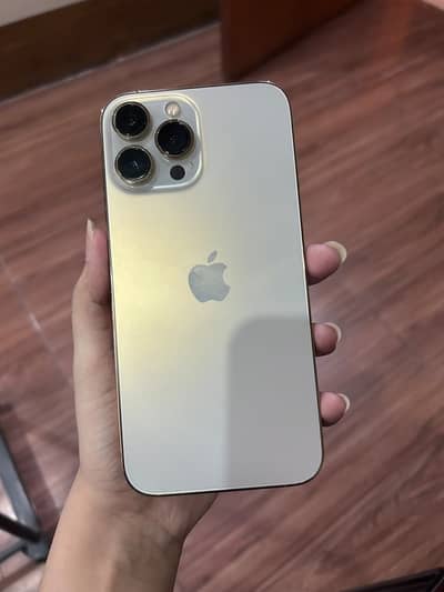 Apple iPhone 13 Pro Max