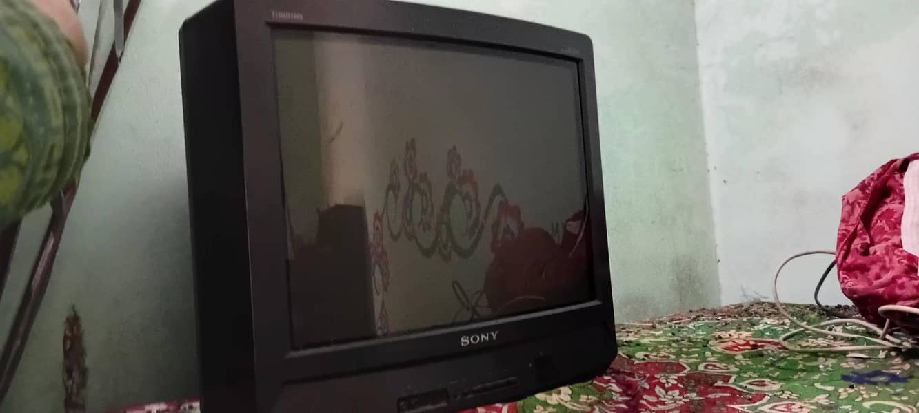 Television 1