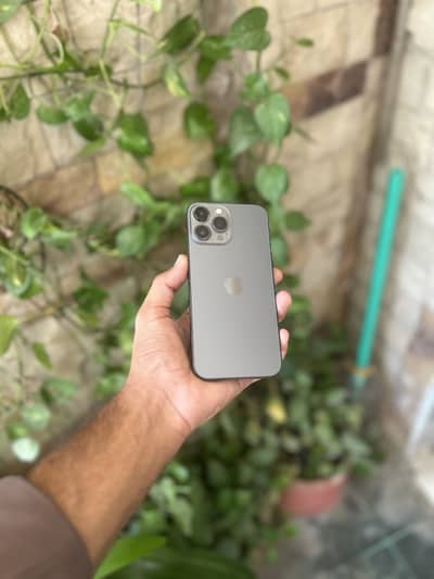 Apple iPhone 13 Pro Max 256 Gb