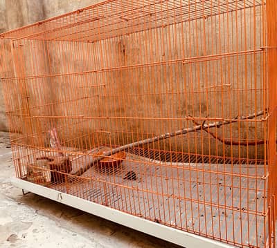 Pets cage