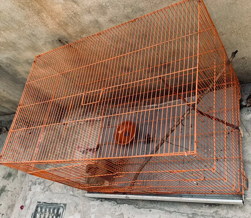 Pets cage — photo 2