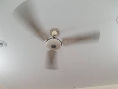 1 Lahore fan 1 younas Fan