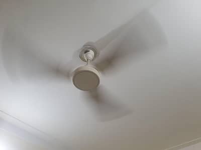 1 Lahore fan