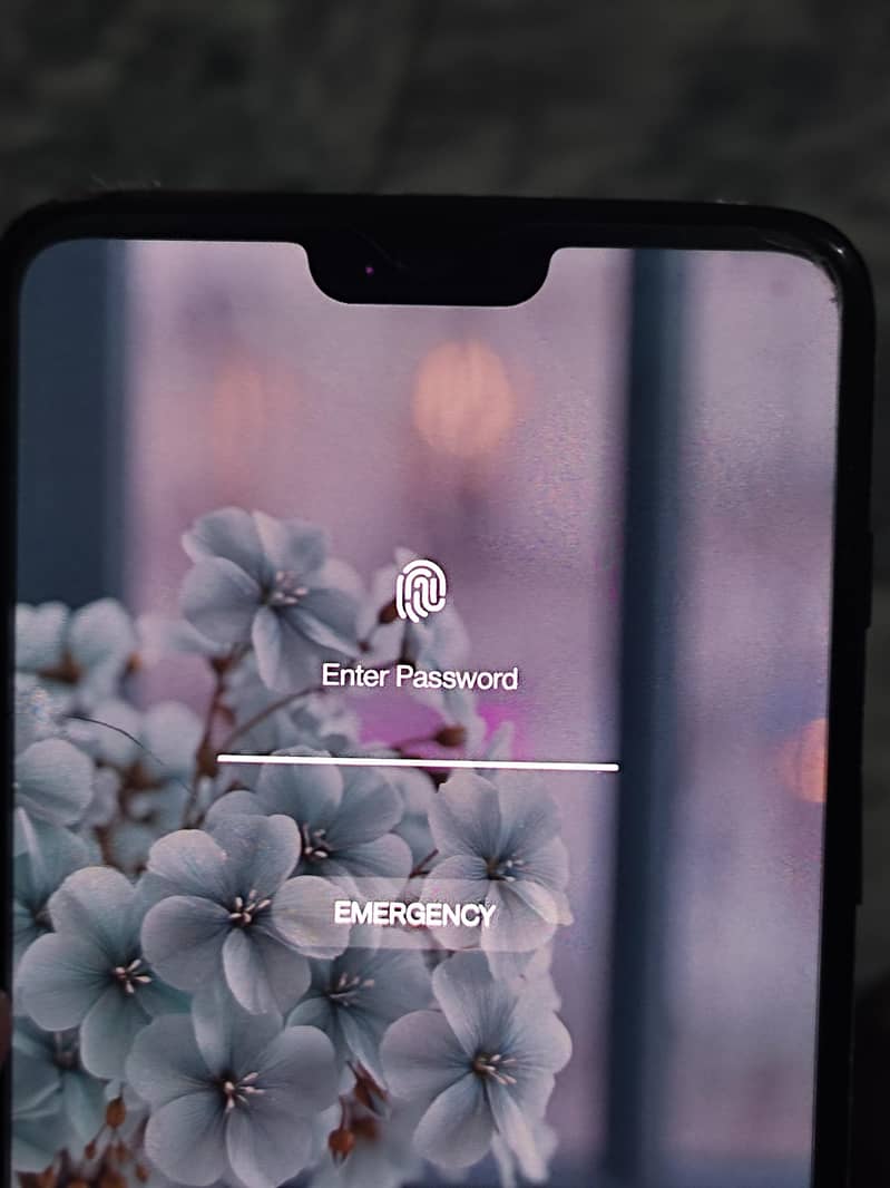 One Plus 6 12