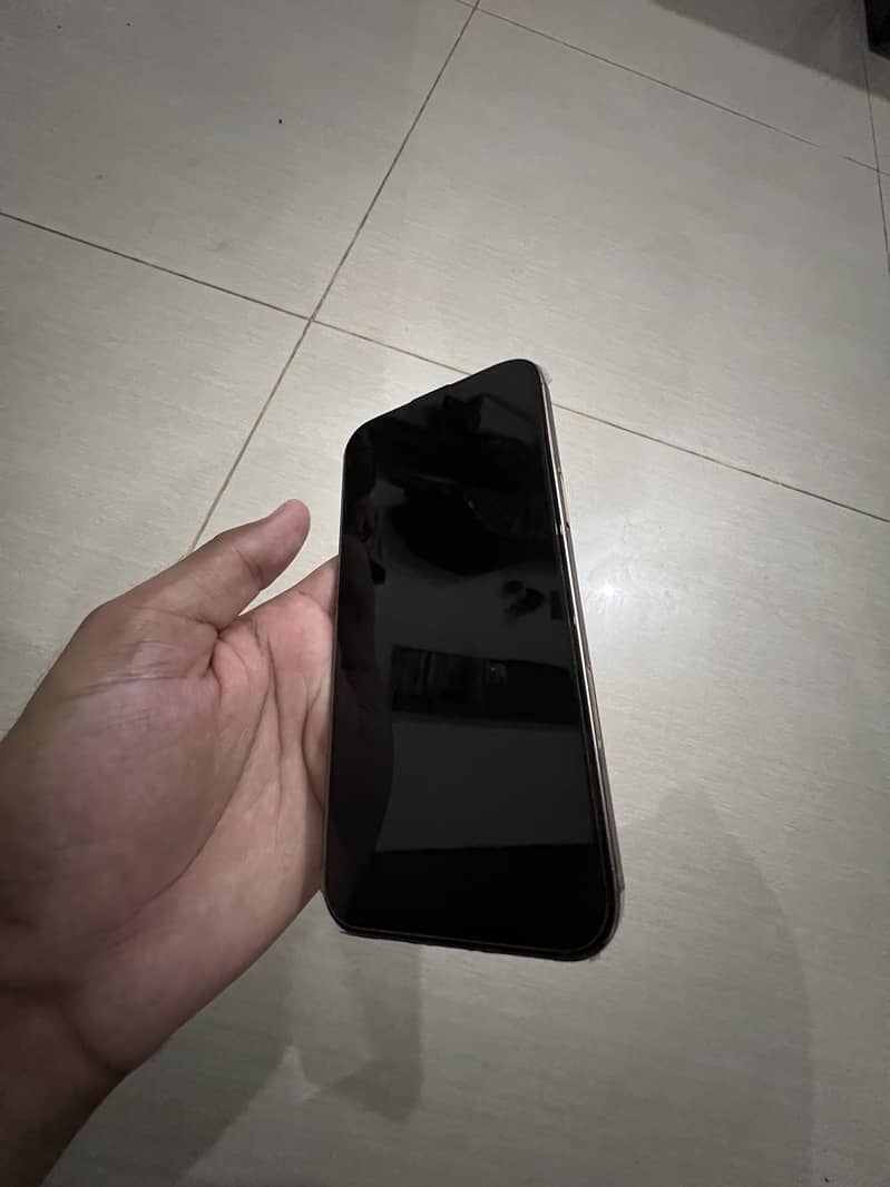 Apple iPhone 16 Pro Max 2