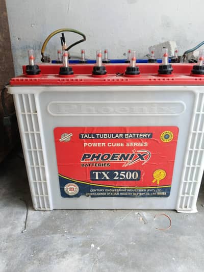Phoenix TX 2500 Tall Tubular Batteries