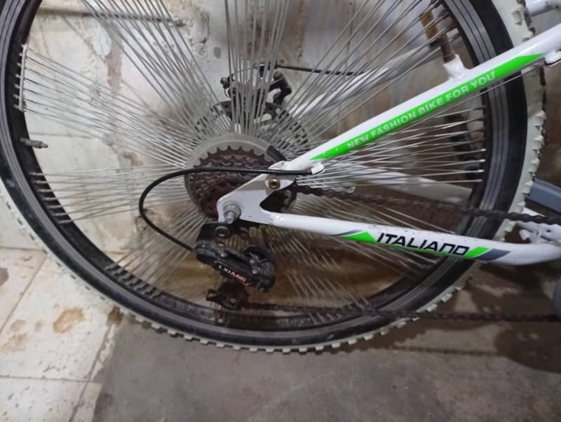 Full Size Cycle 1
