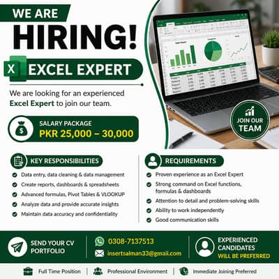 Microsoft Excel Expert for ecommerce amazon / 0/3/0/8/7/1/3/7/5/1/3
