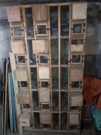  Strong & Spacious Bird Cage | Clean & Ready to Use