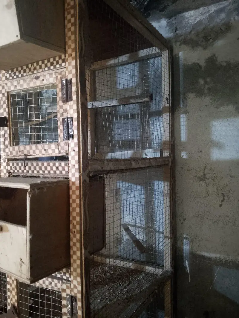 Strong & Spacious Bird Cage | Clean & Ready to Use — photo 2
