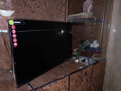 LED TV